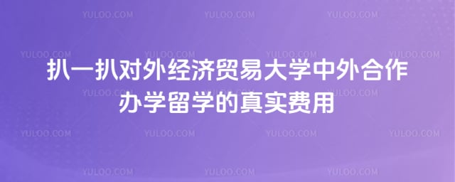 对外经济贸易大学中外合作办学留学