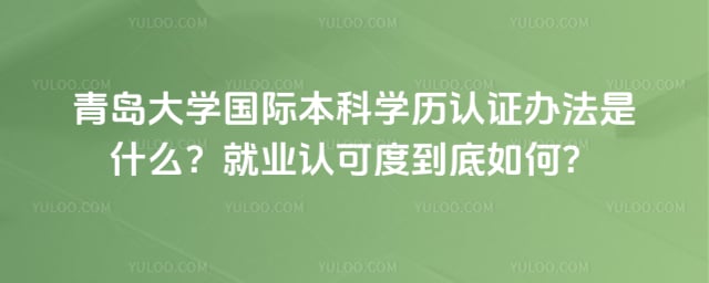 青岛大学国际本科学历认证