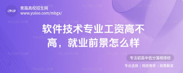 软件技术专业工资