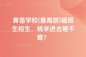 青苗学校(普高部)插班生招生，2026年转学进去难不难？