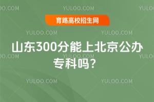 2026ɽ��300�����ϱ�������ר����