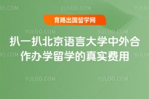 扒一扒2026年北京语言大学中外合作办学留学的真实费用