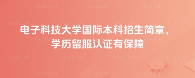 电子科技大学国际本科招生简章