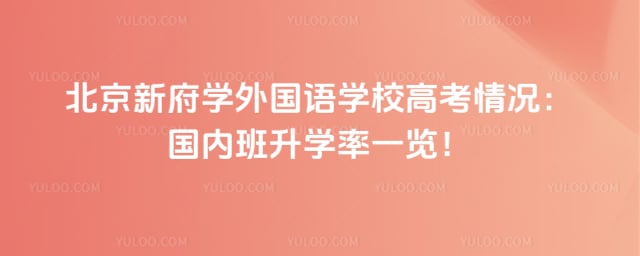 北京新府学外国语学校高考情况