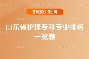 2026山东省护理专科专业排名一览表