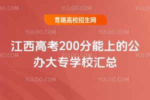 �����߿�200�����ϵĹ����רѧУ����