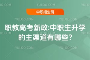 2026ְ�̸߿�����:��ְ����ѧ������������Щ?