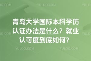 青岛大学国际本科学历认证办法是什么？就业认可度到底如何？