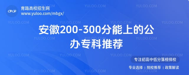 ����200-300�����ϵĹ���ר���Ƽ�