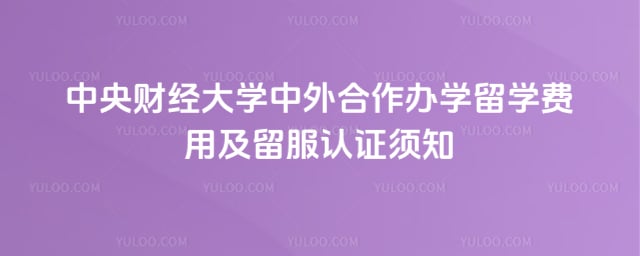 中央财经大学中外合作办学留学