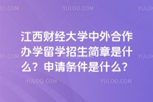 江西财经大学中外合作办学留学招生简章是什么？2026申请条件是什么？