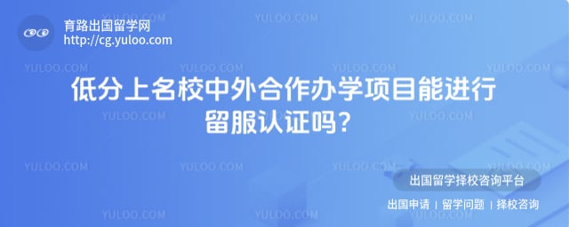 低分上名校中外合作办学项目