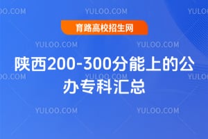 ����200-300�����ϵĹ���ר�ƻ���