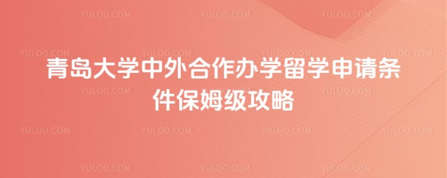 青岛大学中外合作办学留学