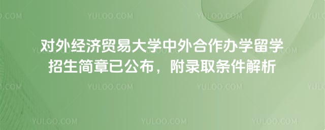 对外经济贸易大学中外合作办学留学招生简章