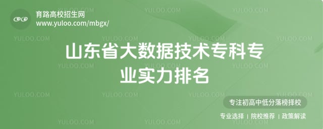 ɽ��ʡ�����ݼ���ר��רҵʵ������