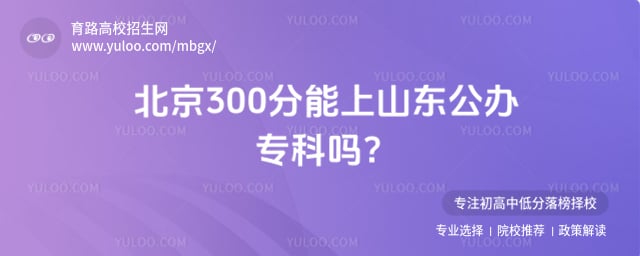 ����300������ɽ������ר����