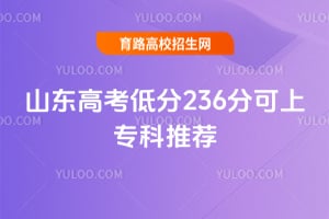 ɽ���߿��ͷ�236�ֿ���ר���Ƽ�