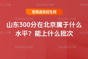 ɽ��300���ڱ�������ʲôˮƽ������ʲô����