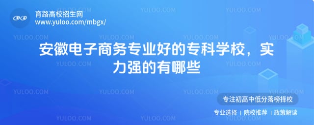 安徽电子商务专业好的专科学校