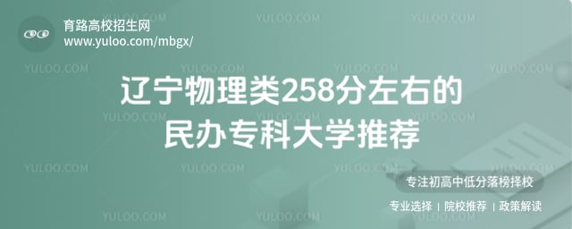 辽宁物理类258分民办专科