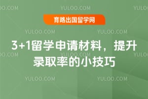 2026��3+1��ѧ������ϣ�����¼ȡ�ʵ�С����