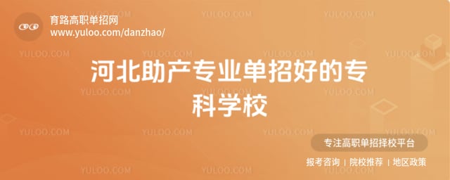 �ӱ�����רҵ����