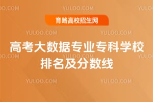 2026�߿�������רҵר��ѧУ������������