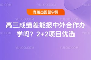 �����ɼ����ܱ����������ѧ��2026��2+2��Ŀ��ѡ