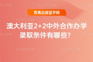 2026��Ĵ�����2+2���������ѧ¼ȡ��������Щ��