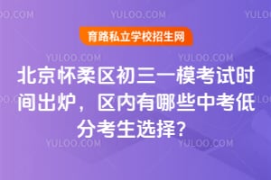 2026�걱������������һģ����ʱ���¯����������Щ�п��ͷֿ���ѡ��