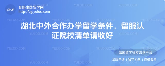 湖北中外合作办学留学条件