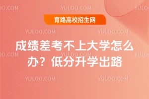 �ɼ�����ϴ�ѧ��ô�죿2026�ͷ���ѧ��·