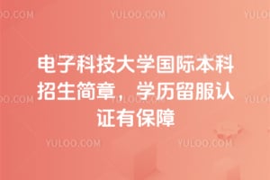 电子科技大学国际本科招生简章，2026学历留服认证有保障