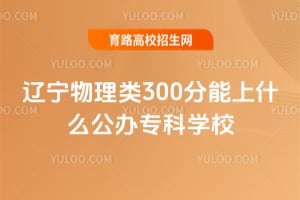 2026����������300������ʲô����ר��ѧУ��