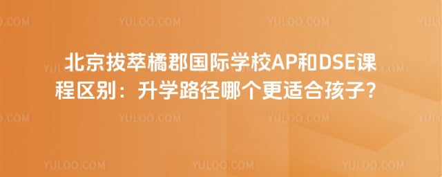 �����ٿ�����ѧУAP��DSE�γ�����