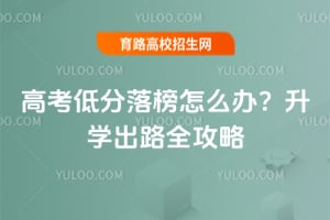 高考低分落榜怎么办?2026升学出路全攻略