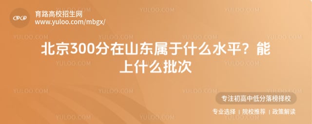 ����300����ɽ������ʲôˮƽ