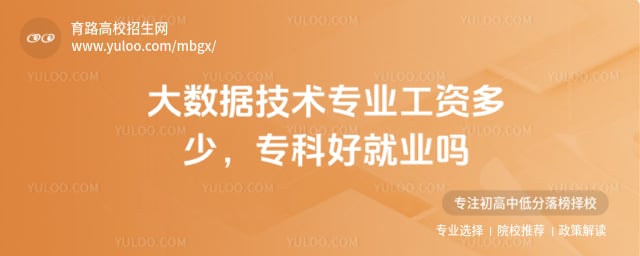 大数据技术专业工资