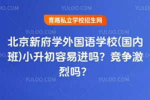 �����¸�ѧ�����ѧУ(���ڰ�)С�������׽��𣿾���������