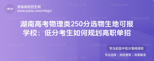湖南高考物理类250分