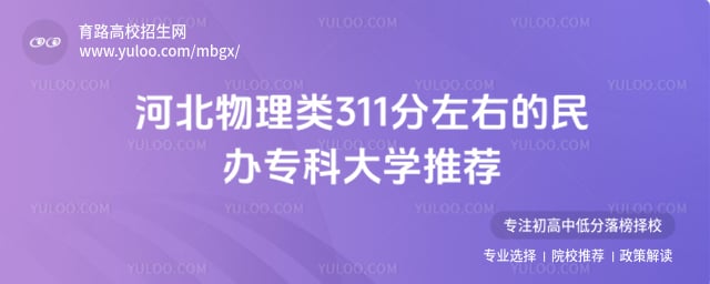 �ӱ�������311�����ר��