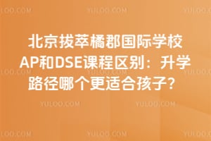 北京拔萃橘郡国际学校AP和DSE课程区别：升学路径哪个更适合孩子？