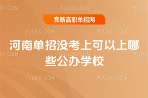2026年河南单招没考上可以上哪些公办学校？