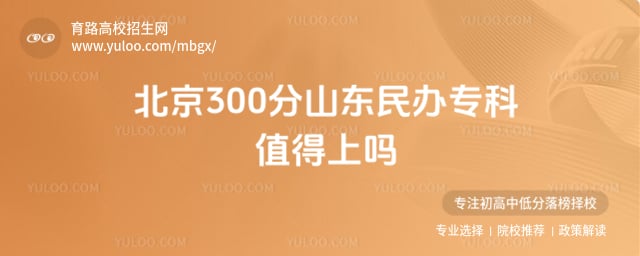 ����300��ɽ�����ר��ֵ������