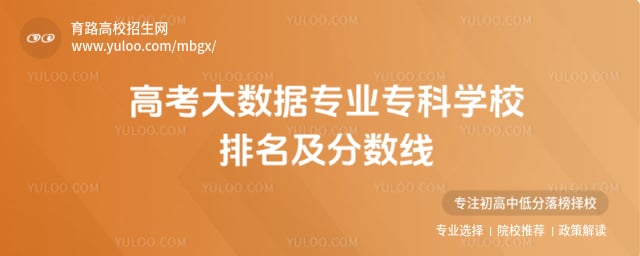 �߿�������רҵר��ѧУ������������