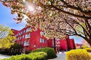 北京外国语大学外籍人员子女学校2026-2027学年招生公告