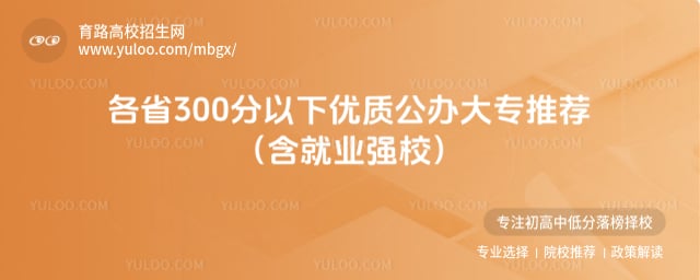 300���������ϵĺô�ר