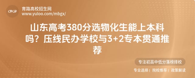 �߿�380��ѡ�ﻯ�����ϱ�����