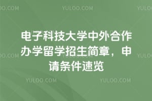 2026年电子科技大学中外合作办学留学招生简章，申请条件速览